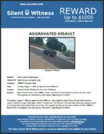 Aggravated Assault /  7 year old female / 1900 W Vineyard