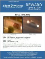 Fatal Hit & Run / Adult Male / 400 E. McDowell Road