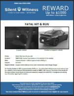 Fatal Hit & Run / Cedric Martinez / 4600 N. 19th Avenue