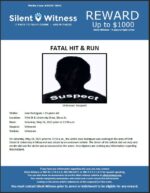 Fatal Hit & Run / Jose Rodriguez / 54th St & University Drive – Mesa Az