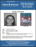 Fatal Hit & Run / Viktorija Defrees / 103rd Avenue & Buckeye Road