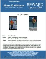 Theft / Verizon Wireless Store / 21001 N. Tatum Boulevard