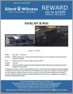 Fatal Hit & Run / Jerel Glenn 8 years old / 3100 N. 67th Avenue