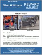 Felony Theft / Home Depot / 2500 E. Germann Rd, Chandler