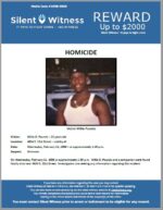 Homicide / Willie Pounds / 4624 S. 21st Street – vicinity of
