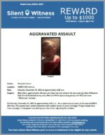 Aggravated Assault / Multiple Victims / 4200 N 19th Avenue