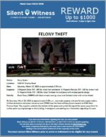 Theft / Dairy Queen / 5100 W. Thomas Road