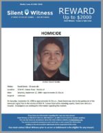Homicide / David Sotelo / 3534 W. Calavar Road – Vicinity of