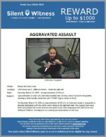 Aggravated Assault / Unknown Victim / 24th Street and E. Jefferson Street