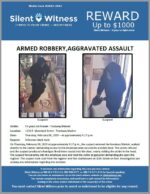 Armed Robbery, Aggravated Assault / 1151 E. Moreland Street – Foodway Market