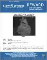 Aggravated Assault / Adult Male victim/ 6000 W. Bethany Home Road