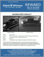 Aggravated Assault / Female / 535 W. Van Buren Street – Southeast corner W. Van Buren Street and N. 6th Avenue
