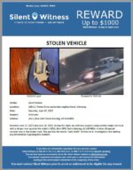 Stolen Vehicle / Adult Female / 1601 E. Potter Drive