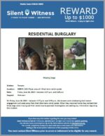 Residential Burglary / Tenants / 8800 N. 12th Place