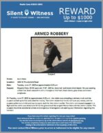 Armed Robbery / Adult Male / 1832 W. Thunderbird Road