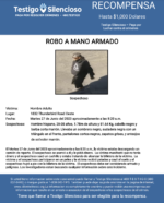 ROBO A MANO ARMADO / Hombre Adulto / 1832 Thunderbird Road Oeste