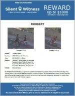 Robbery / Juvenile Male / 4500 W. Oraibi Drive