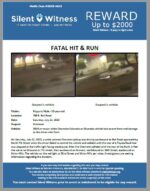 Fatal Hit & Run / 13-year-old male / 700 E. Bell Road