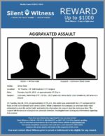 Aggravated Assault / White male / W. Phoenix – W. Bell Road and I-17 Overpass