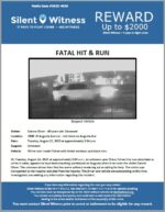 Fatal Hit & Run / Connie Oliver / 2800 W Augusta Avenue