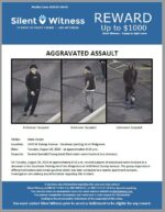 Aggravated Assault / Male Citizen / 3450 W Dunlap Avenue – Southeast parking lot of Walgreens
