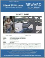 Identity Theft / Female Victim / 803 E. Devonshire Avenue – First Credit Union