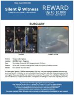Burglary / Walgreens / 200 E. Bell Road