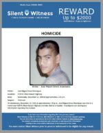 Homicide / Jose Miguel Erives Manriquez / 4130 N. Black Canyon Highway