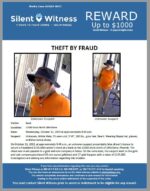 Theft by Fraud / 11000 block North 28th Drive  / Bank