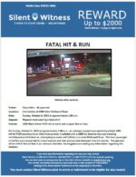 Fatal Hit & Run / Flavio Ortiz / 4300 W McDowell Road