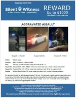 Aggravated Assault / 2 Adult Male victims / 640 N 1st Avenue – Night Club