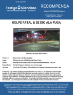 GOLPE FATAL & SE DIO ALA FUGA / Flavio Ortiz / Intersección de 4300 McDowell Road Oeste