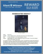 Aggravated Assault / Homeowner / 6100 W. Indianola Avenue – Intersection of 61st Avenue and Indianola Avenue