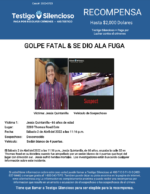 GOLPE FATAL & SE DIO ALA FUGA / Jesus Quintanilla / 3200 Thomas Road Este