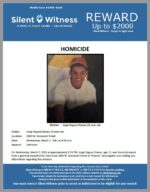 Homicide / Jorge Segura Chavez 15-year-old / 2800 W. Roosevelt Street