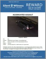 Aggravated Assault / N/A / 8808 N Black Canyon Highway – Extended Stay hotel