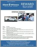 Criminal Damage / 16 vehicles / E. Cannon Drive & N. 55th Place just south of E. Shea Blvd.