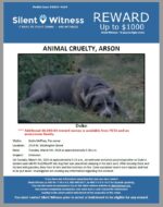 Animal Cruelty – Arson / Stella McPhee, Pet owner “Duke” / 2524 W. Washington Street