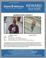 Aggravated Assault / Male Victim / 2810 N. 75th Avenue – Desert Sky Mall