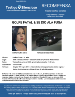 GOLPE FATAL & SE DIO ALA FUGA / Paulina Ochoa 16 años / 3600 Avenida 27 Norte – área de Avenida 27 y Avenida Weldon Oeste