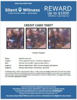 Credit Card Theft / Adult Female / 7122 E. Greenway Parkway – The Mission Restaurant