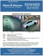 Aggravated Assault / 26 year old female / 2800 W. McDowell Road