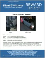 Aggravated Assault / Adult Male / 3421 W Dunlap Avenue –  Apartment Complex