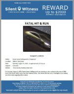 Fatal Hit & Run / Daniel James Hollingsworth / 3800 N. 16th Street