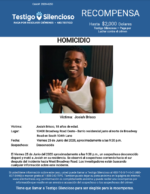 HOMICIDIO / Josiah Brisco / 10400 Broadway Road Oeste – Barrio residencial justo al norte de Broadway Road en South 104th Lane