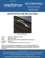 GOLPE FATAL & SE DIO ALA FUGA / Daniel James Hollingsworth / 3800 Calle 16 Norte