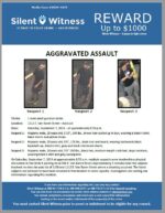 Aggravated Assault / 1 male adult gunshot victim / 1112 E. Van Buren Street – Auto Lot