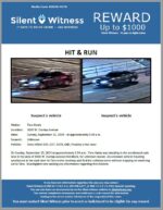 Hit & Run / Tara Hardy / 3000 W. Dunlap Avenue