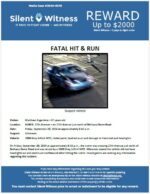 Fatal Hit & Run/ Matthew Argentino / 2700 West Bethany Home Road