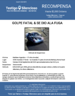 GOLPE FATAL & SE DIO ALA FUGA / Matthew Argentino / 6100 Avenida 27 Norte